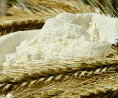  ООО"АльянсАгро" <br>(Зернотрейдинг)